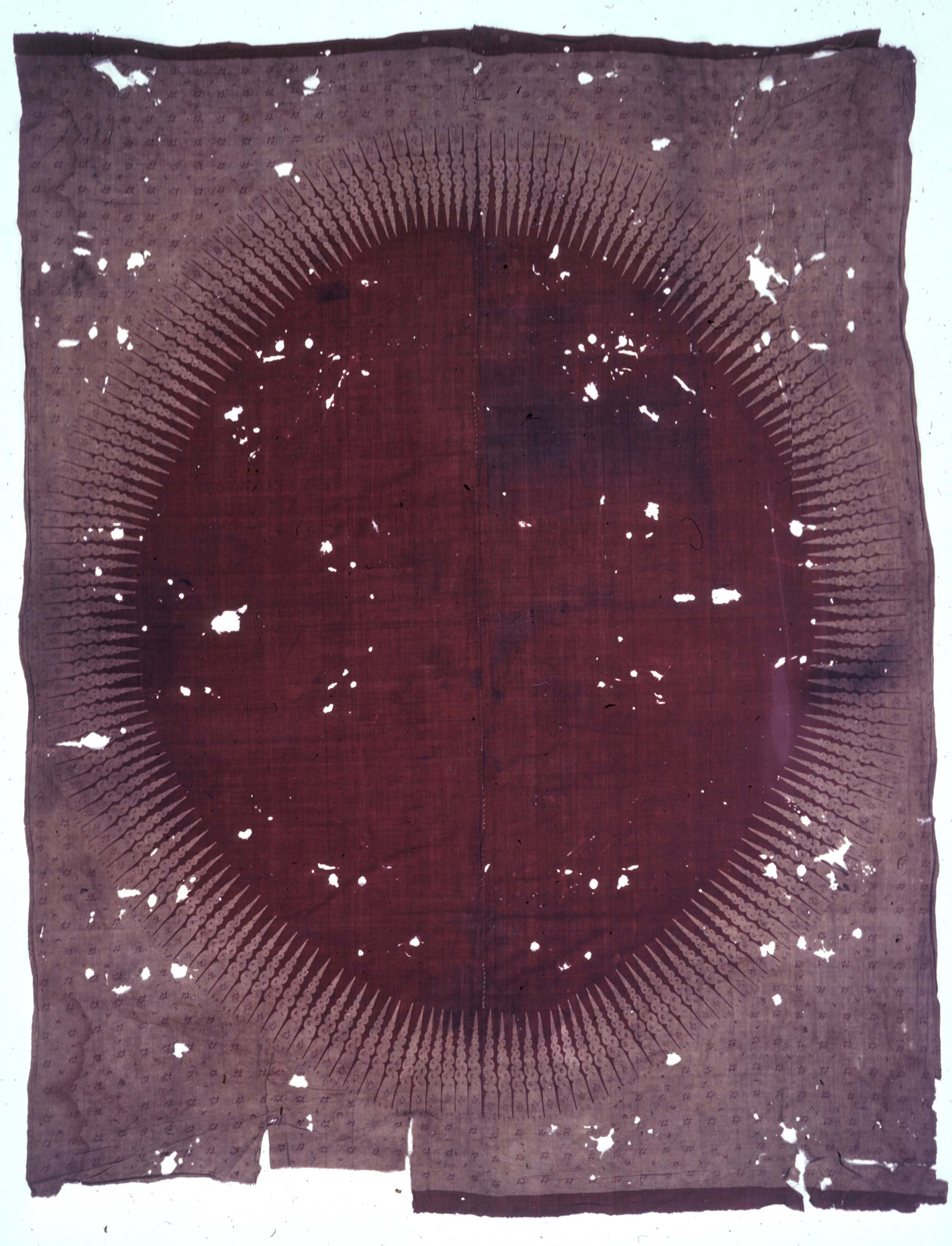sun chintz